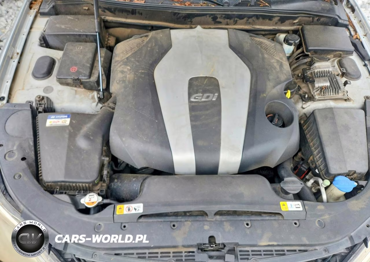 2013 Hyundai Genesis 3.8L VIN:KMHGC4DD4DU247848 - 11