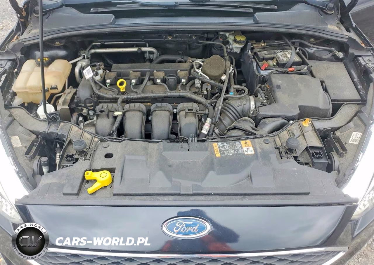 2015 Ford Focus S VIN:1FADP3E27FL270395 - 11