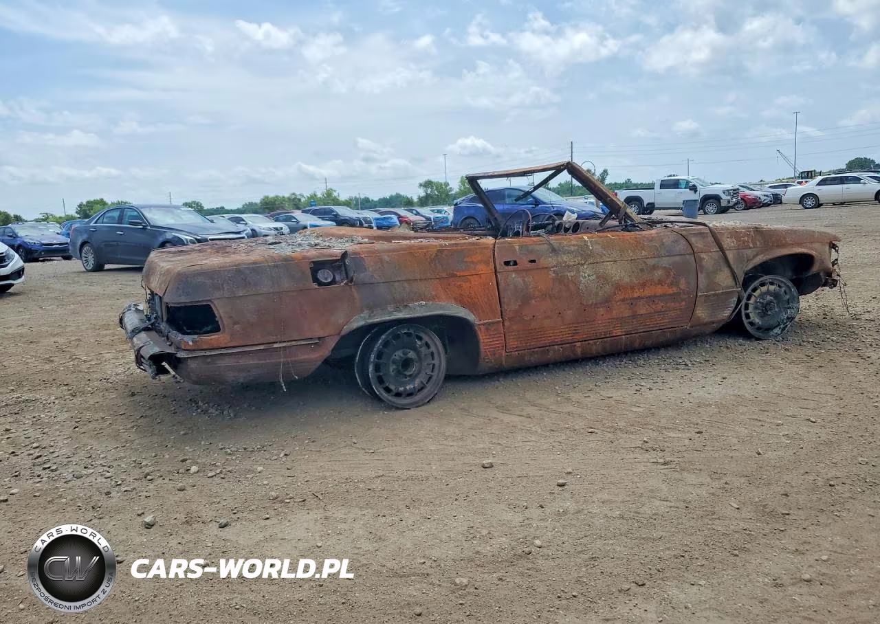 1979 Mercedes-Benz C-Class VIN:00010704412058004 - 3