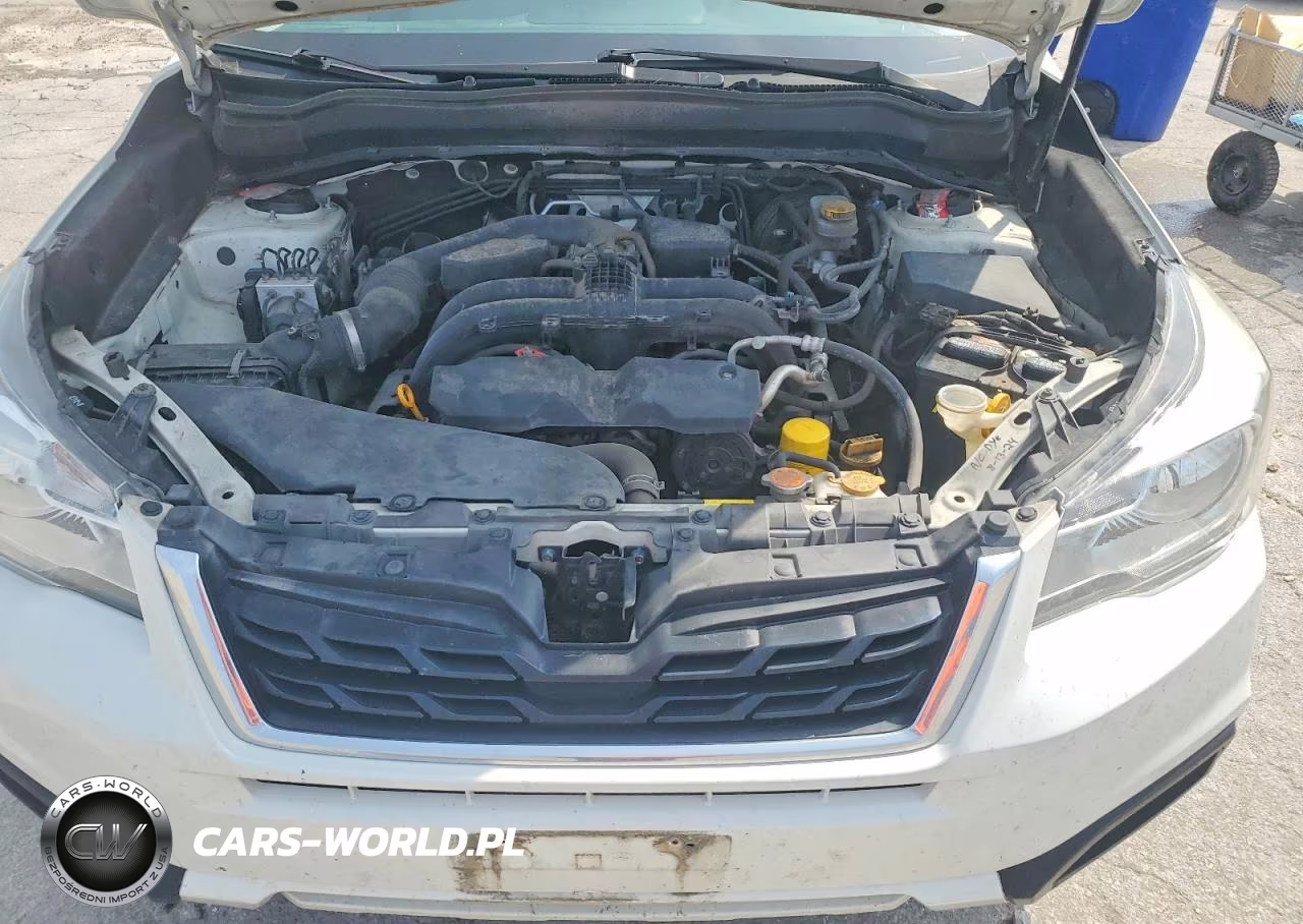 2017 Subaru Forester 2.5I VIN:JF2SJABCXHH493042 - 11