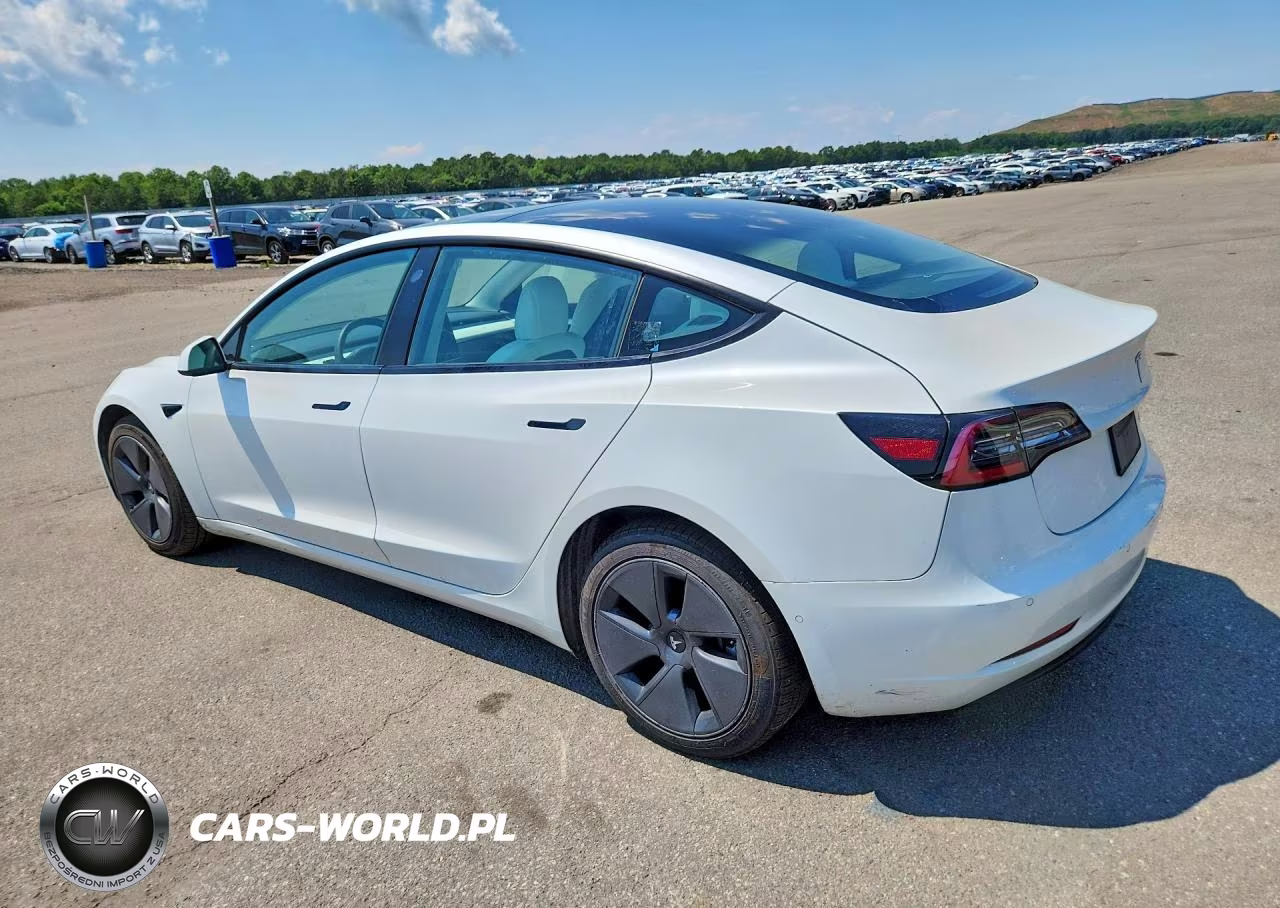 2022 Tesla Model 3 VIN:5YJ3E1EB2NF176975 - 2