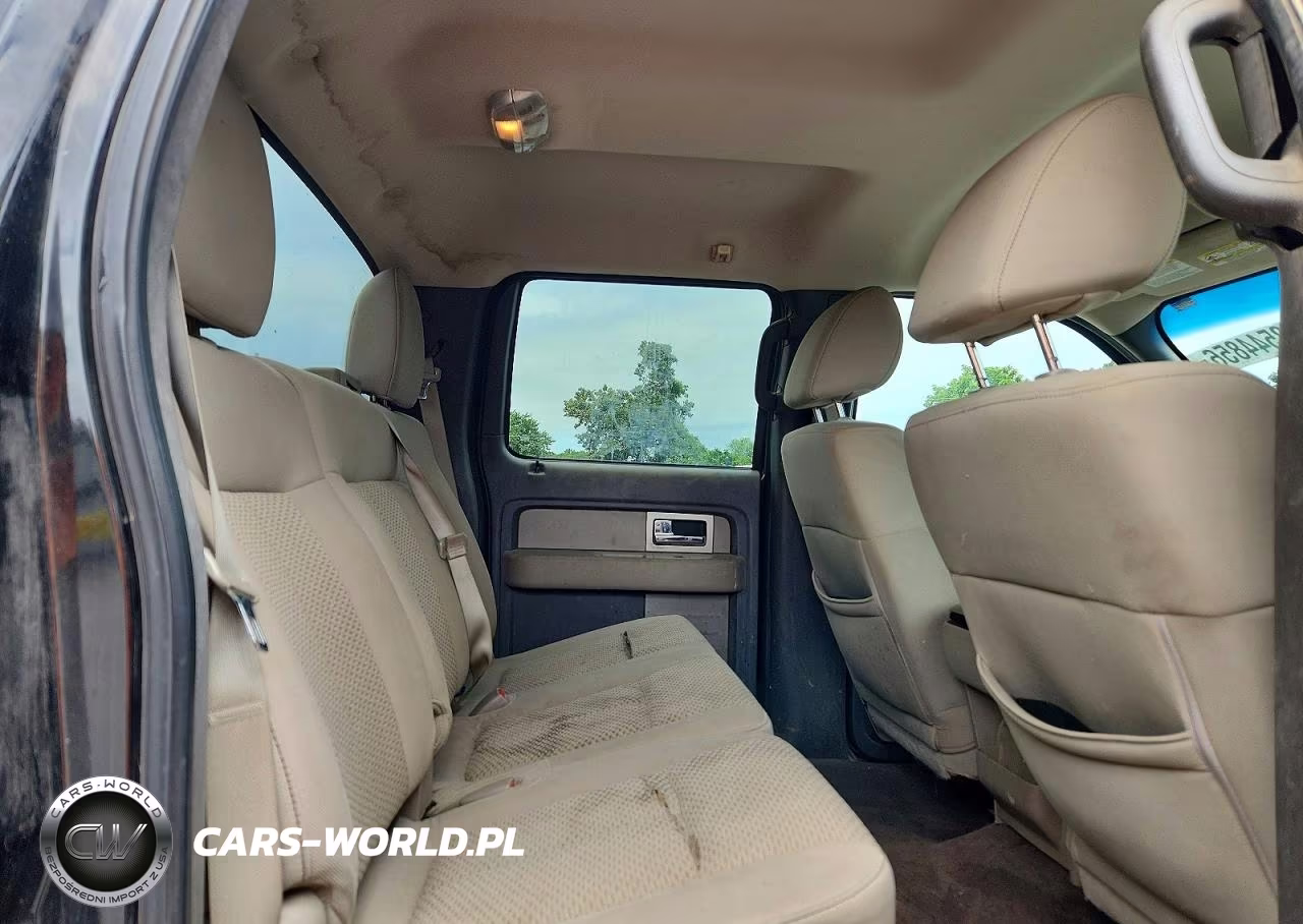 2010 Ford F150 Supercrew VIN:1FTFW1EV9AFD88511 - 10