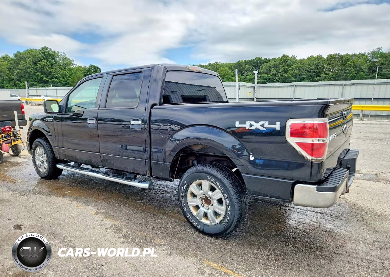 2010 Ford F150 Supercrew VIN:1FTFW1EV9AFD88511 - 2