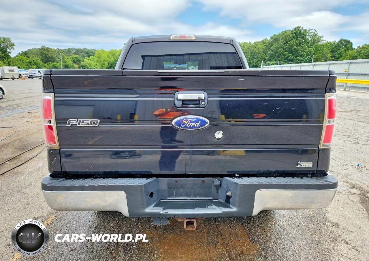 2010 Ford F150 Supercrew VIN:1FTFW1EV9AFD88511 - 6