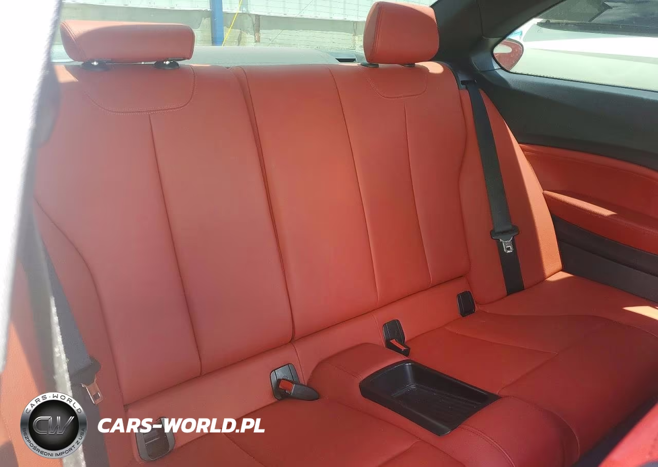 2015 BMW 228 Xi VIN:WBA1F7C59FVX95772 - 10