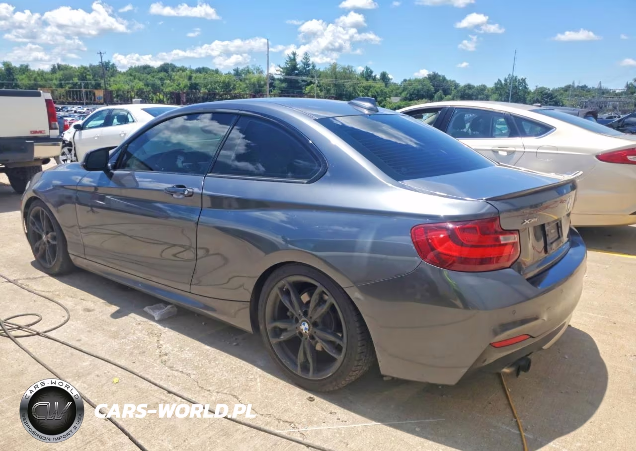 2015 BMW 228 Xi VIN:WBA1F7C59FVX95772 - 2