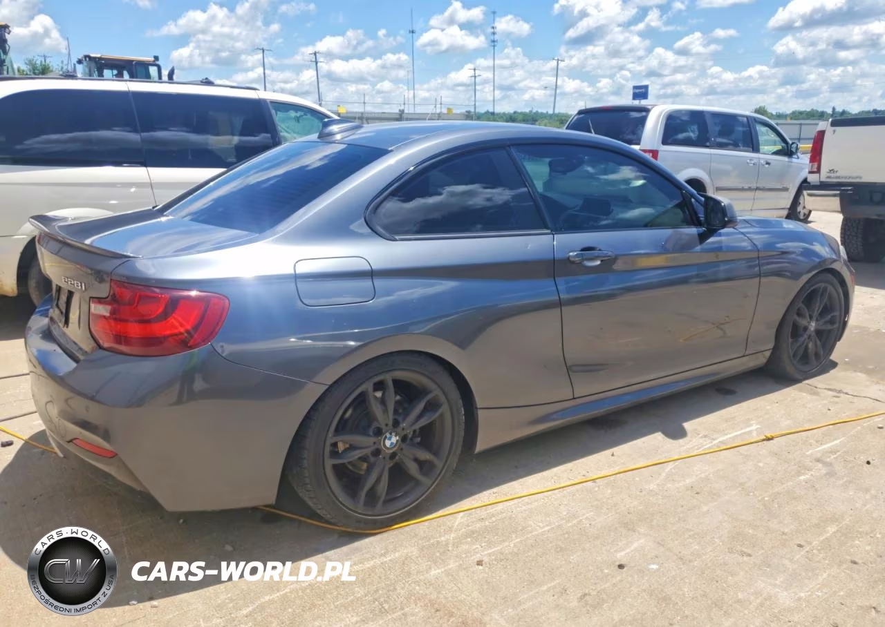 2015 BMW 228 Xi VIN:WBA1F7C59FVX95772 - 3