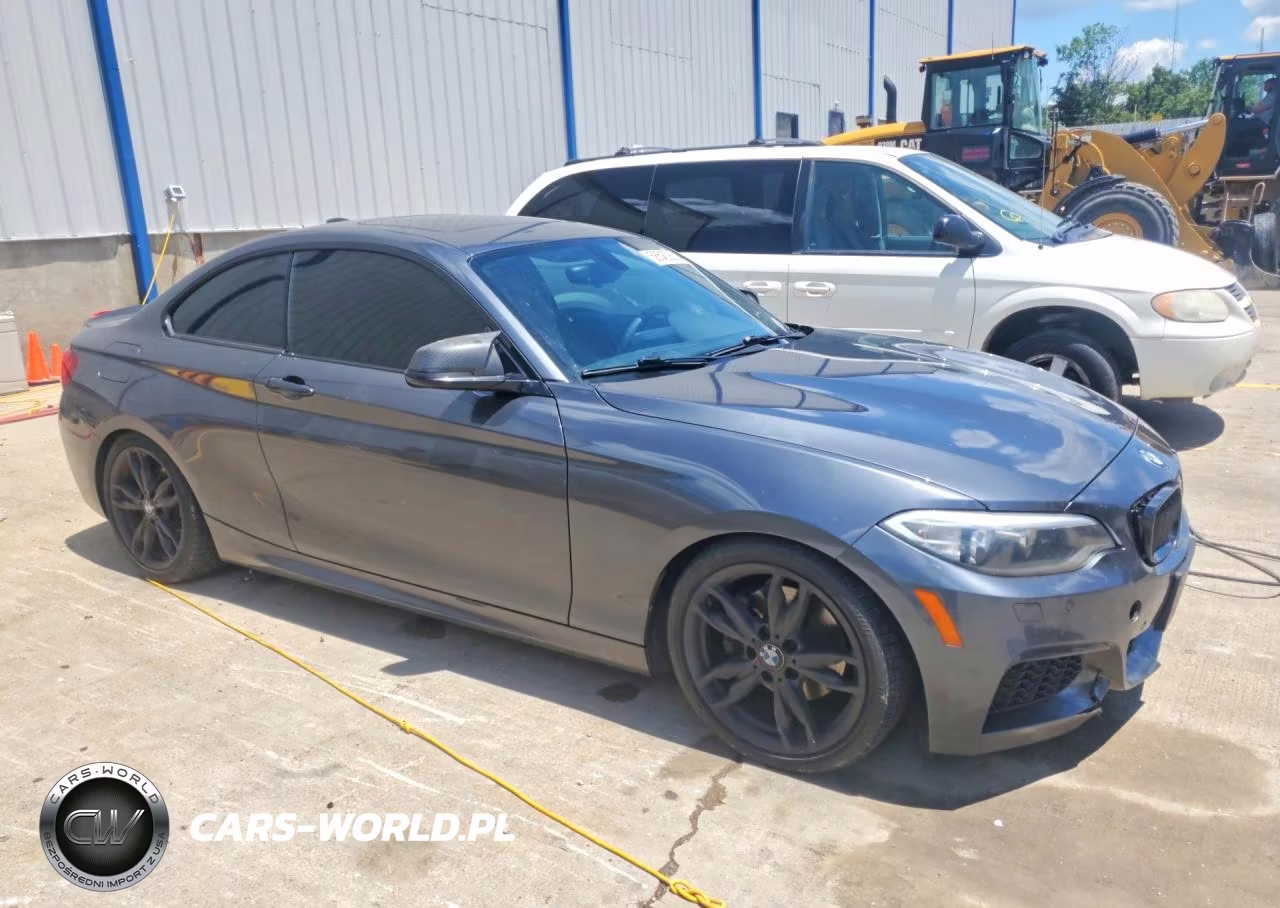 2015 BMW 228 Xi VIN:WBA1F7C59FVX95772 - 4
