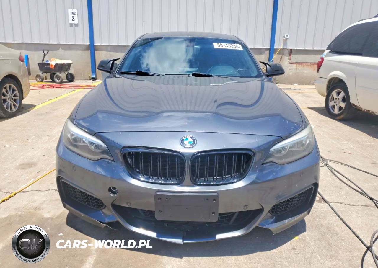2015 BMW 228 Xi VIN:WBA1F7C59FVX95772 - 5