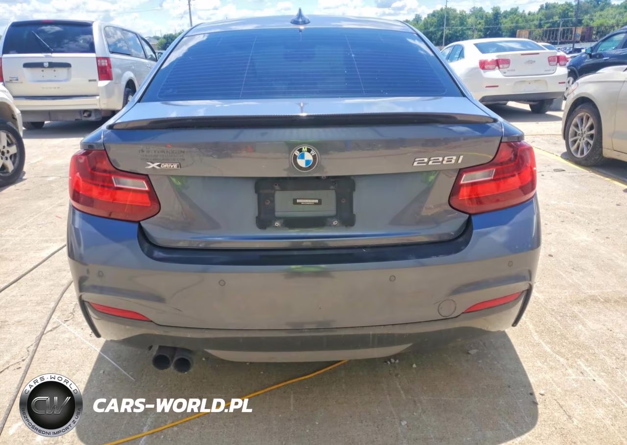 2015 BMW 228 Xi VIN:WBA1F7C59FVX95772 - 6