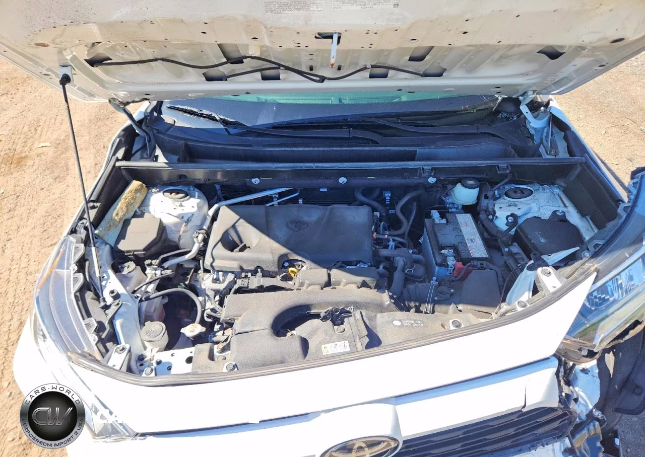 2019 Toyota Rav4 Xle VIN:JTMP1RFV5KD040119 - 12