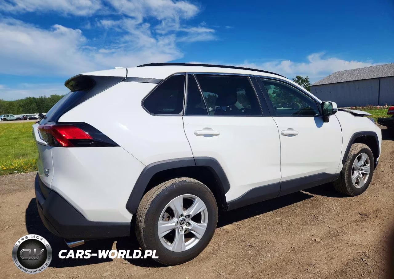 2019 Toyota Rav4 Xle VIN:JTMP1RFV5KD040119 - 3