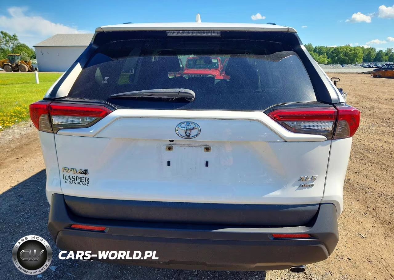 2019 Toyota Rav4 Xle VIN:JTMP1RFV5KD040119 - 6