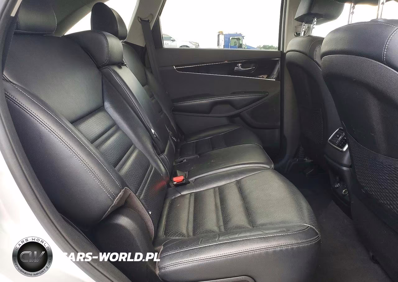 2019 Kia Sorento Ex V6 VIN:5XYPHDA57KG447639 - 10