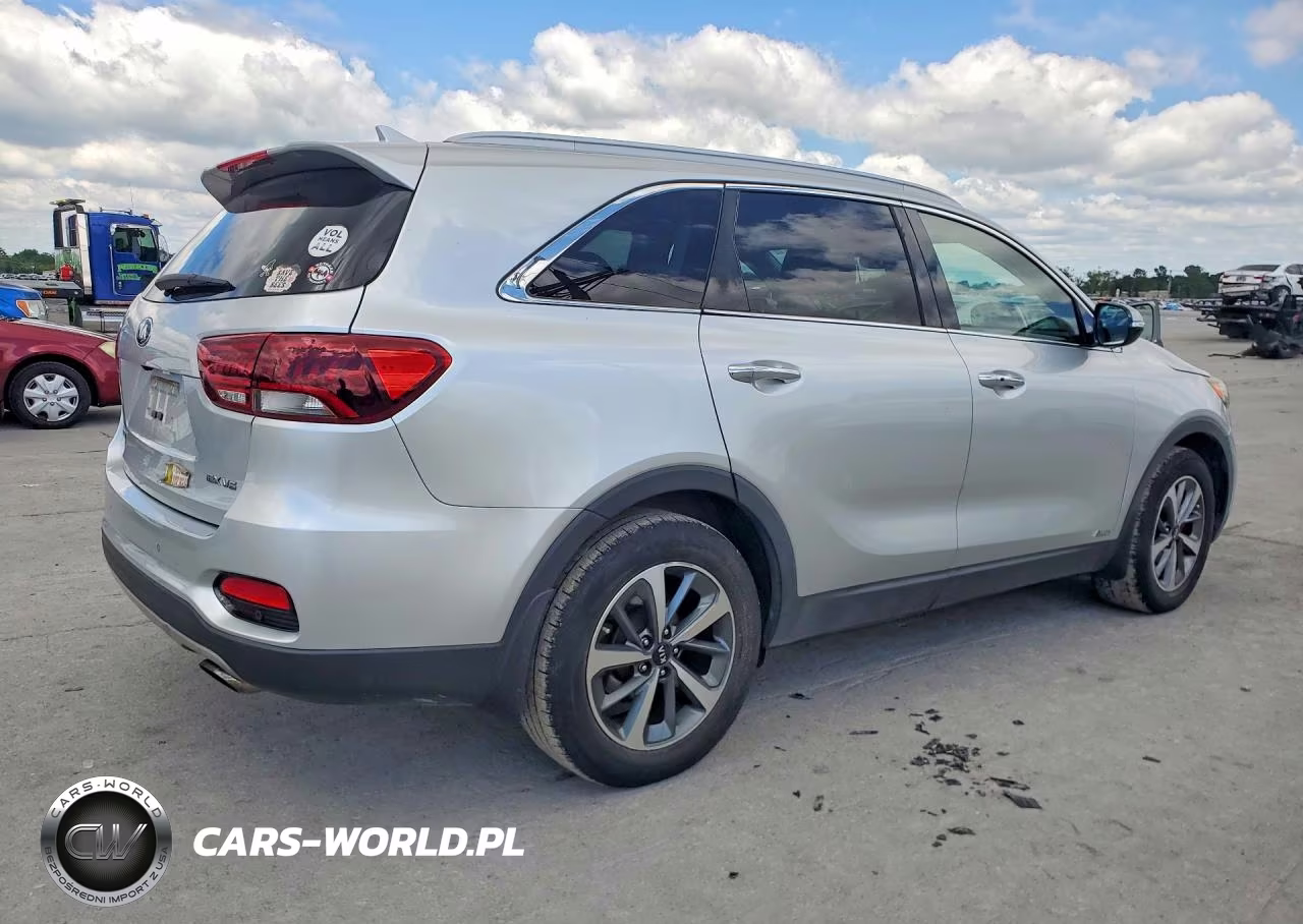 2019 Kia Sorento Ex V6 VIN:5XYPHDA57KG447639 - 3