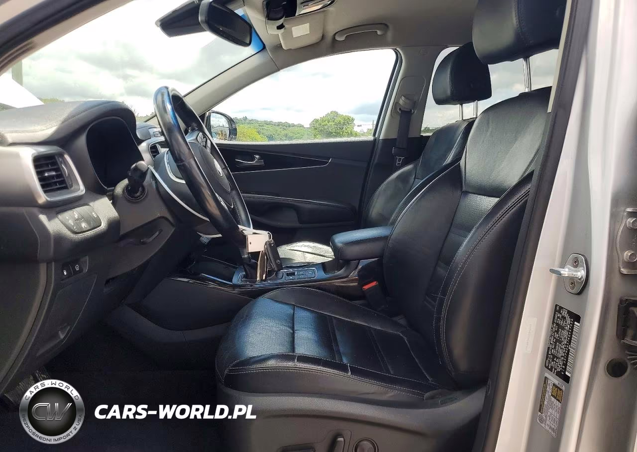 2019 Kia Sorento Ex V6 VIN:5XYPHDA57KG447639 - 7