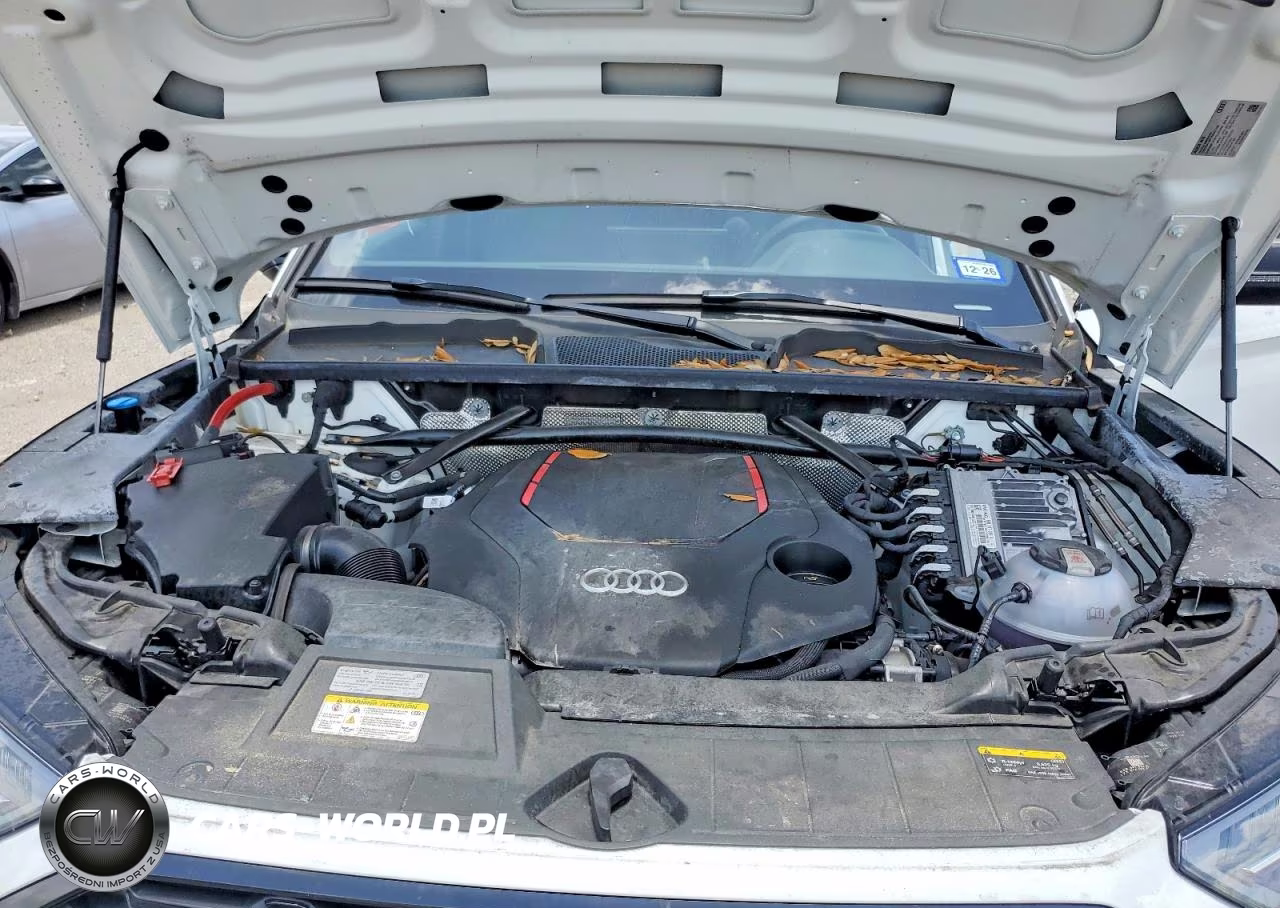 2024 Audi Sq5 Premium Plus VIN:WA1B4AFY6R2018627 - 11