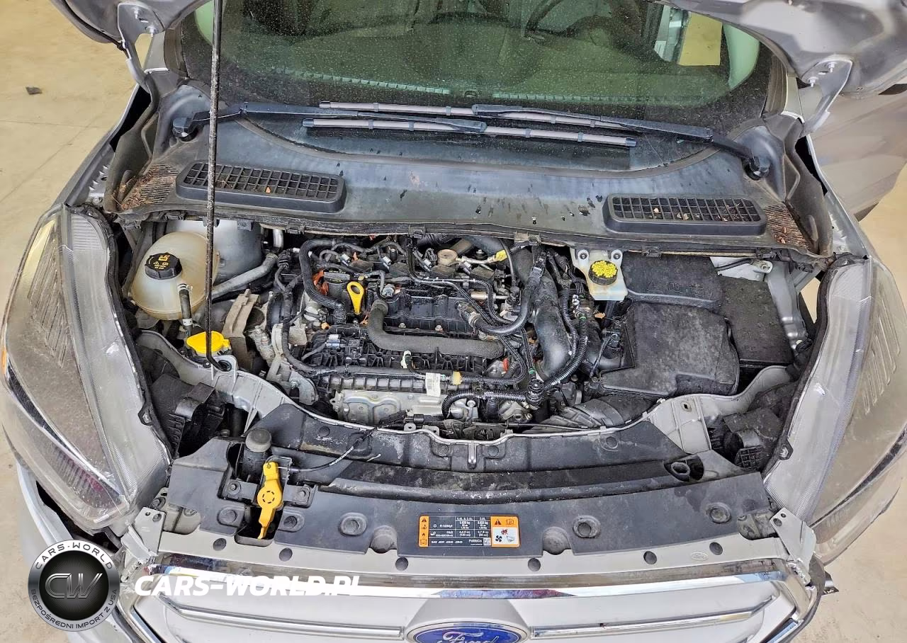 2019 Ford Escape Se VIN:1FMCU9GDXKUA93972 - 12