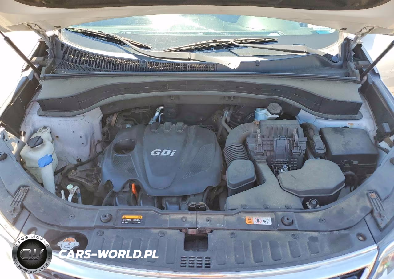 2014 Kia Sorento Lx VIN:5XYKT3A65EG475486 - 12
