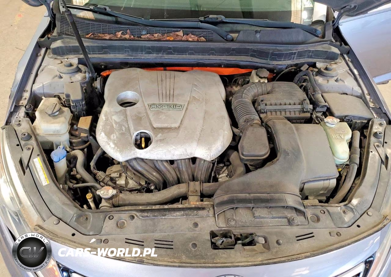 2012 Kia Optima Hybrid VIN:KNAGM4AD3C5017021 - 11