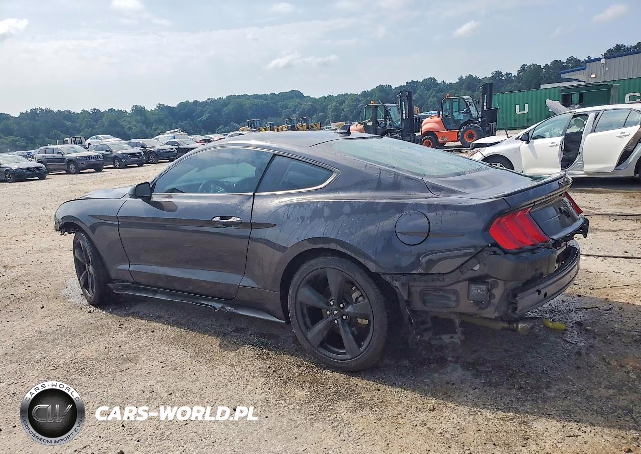 2022 Ford Mustang VIN:1FA6P8TH3N5141151 - 2