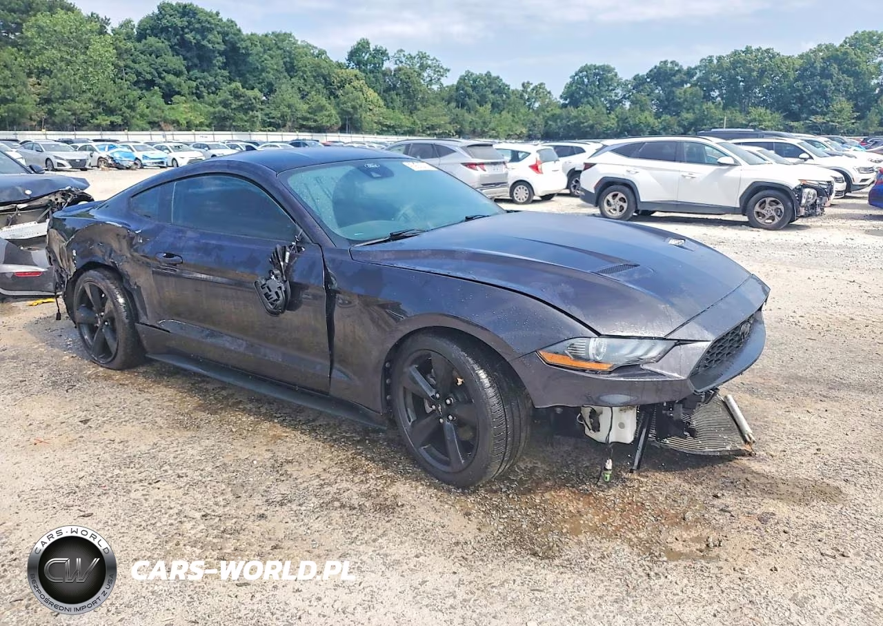 2022 Ford Mustang VIN:1FA6P8TH3N5141151 - 4