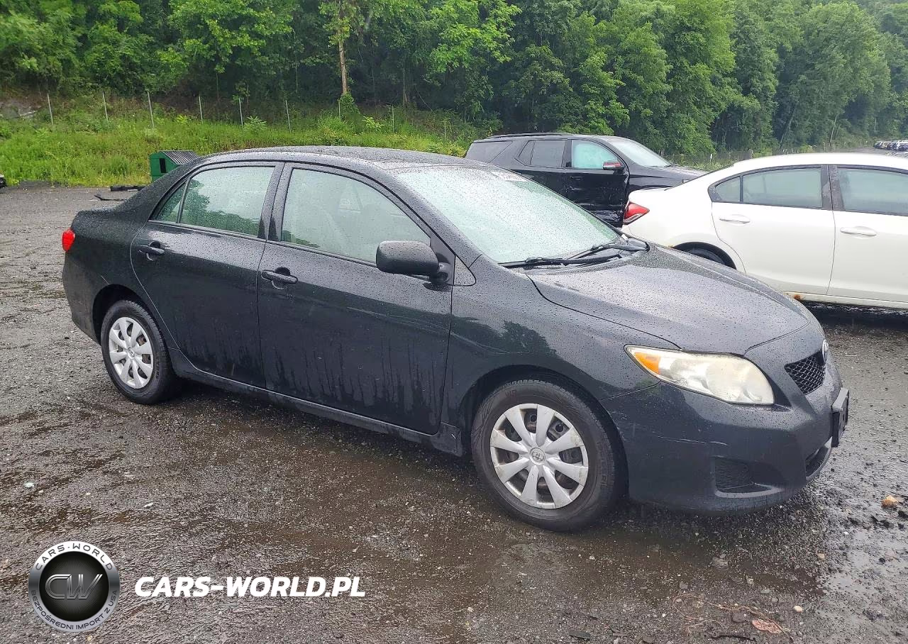 2010 Toyota Corolla Le VIN:2T1BU4EE2AC338869 - 4