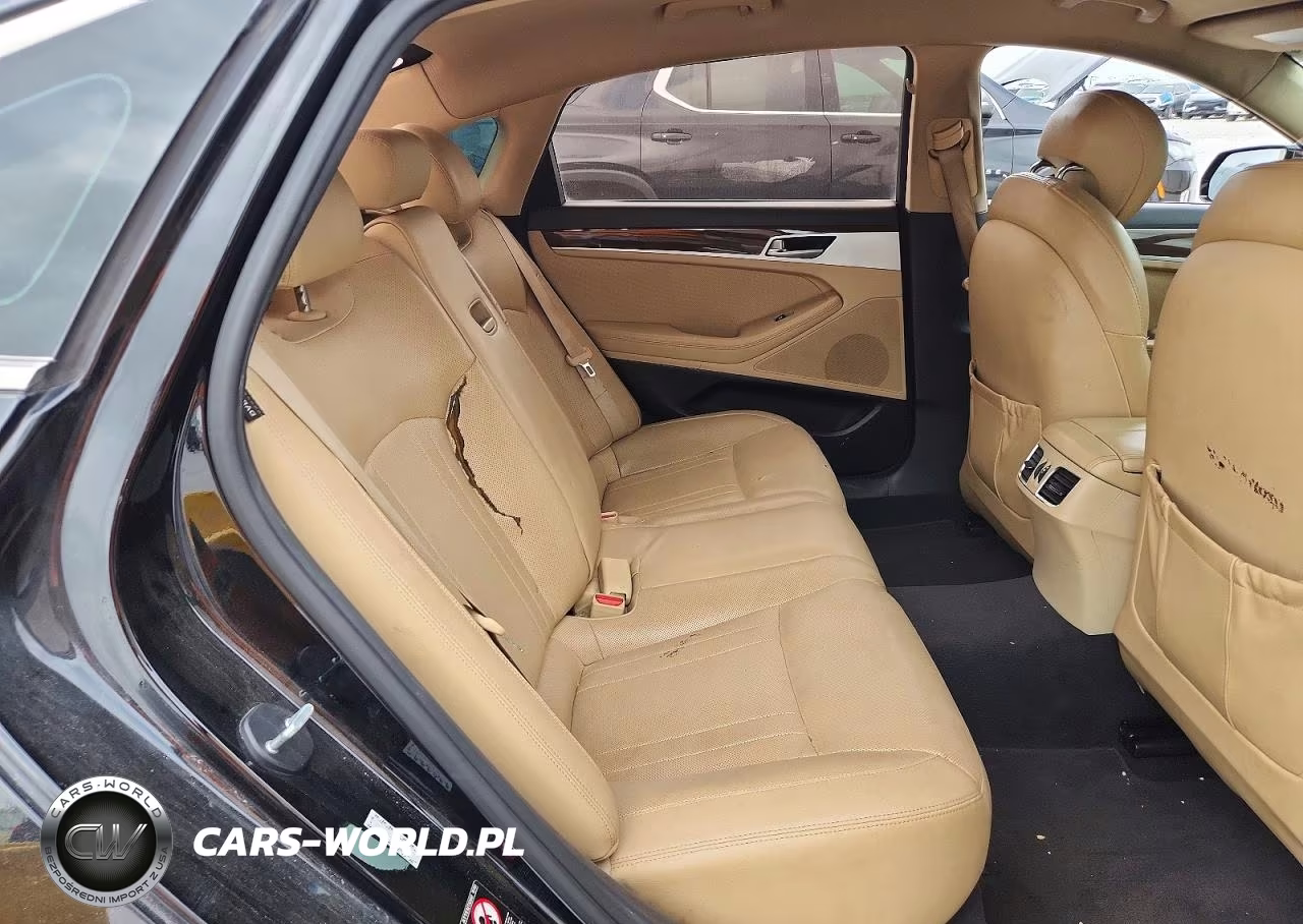 2015 Hyundai Genesis 3.8L VIN:KMHGN4JE2FU100437 - 10