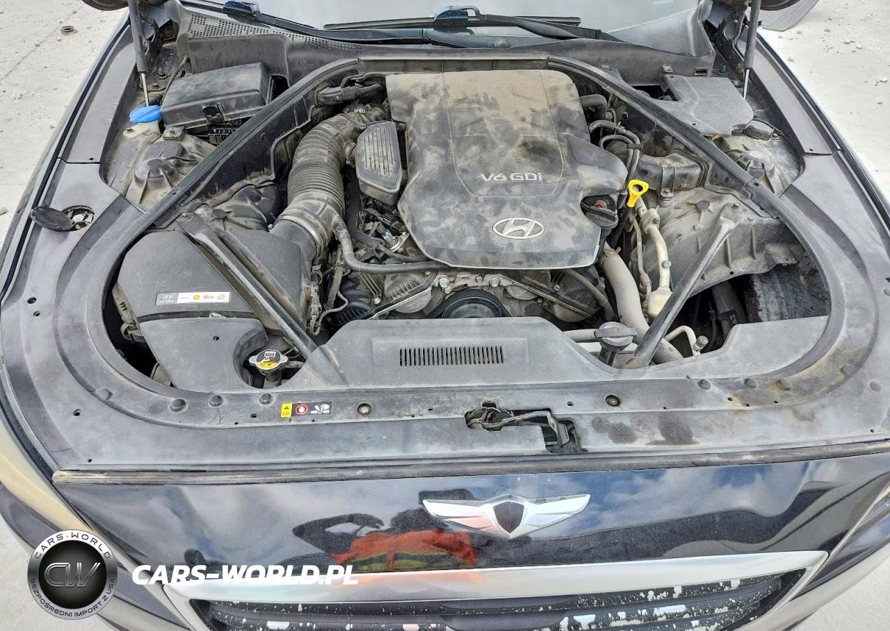 2015 Hyundai Genesis 3.8L VIN:KMHGN4JE2FU100437 - 11