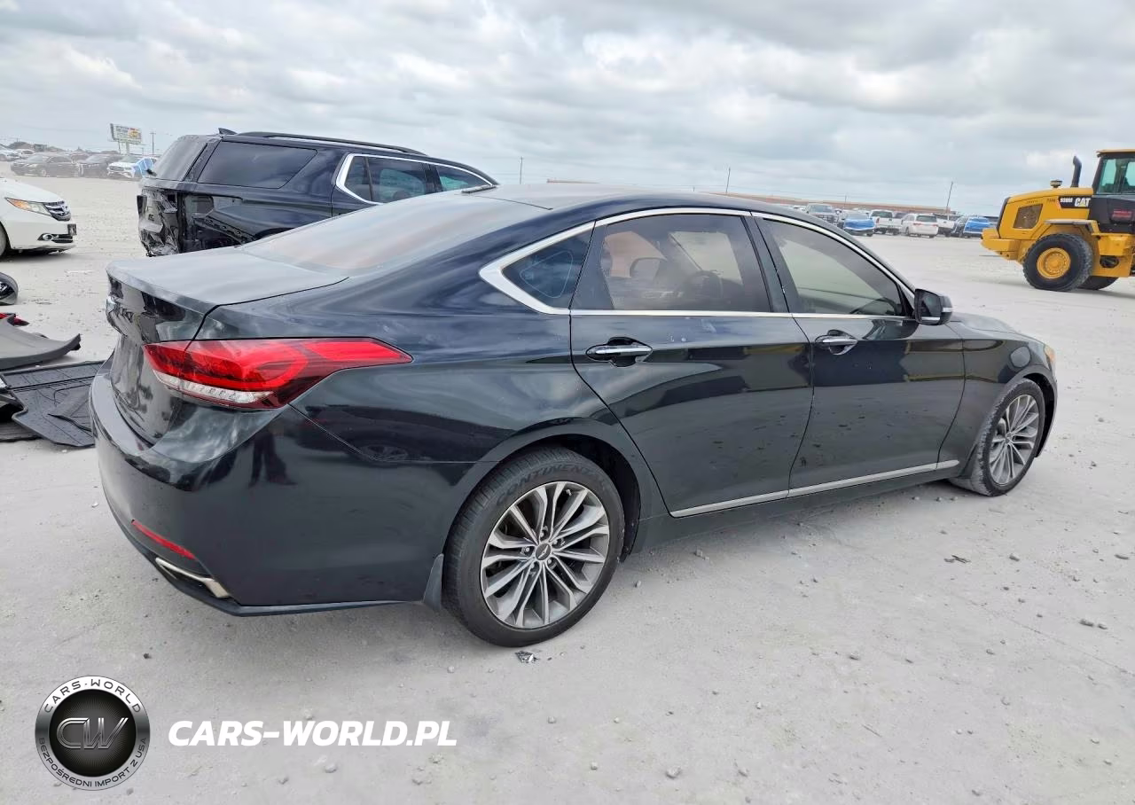 2015 Hyundai Genesis 3.8L VIN:KMHGN4JE2FU100437 - 3