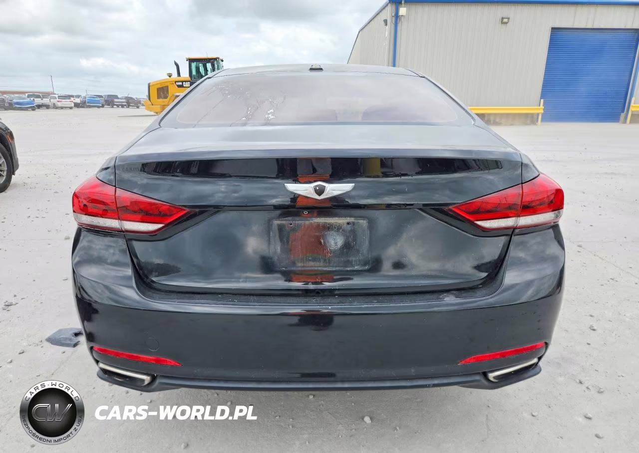 2015 Hyundai Genesis 3.8L VIN:KMHGN4JE2FU100437 - 6