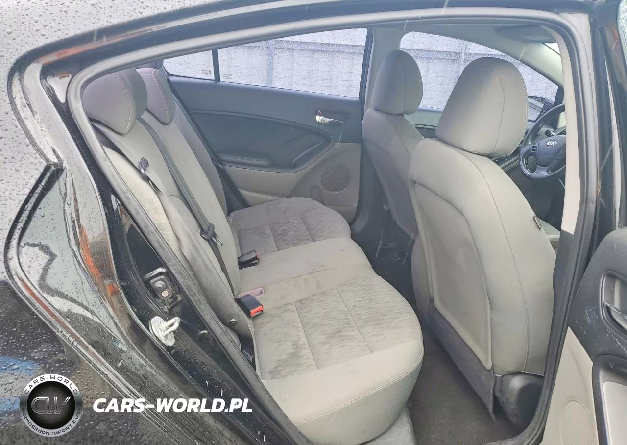 2014 Kia Forte Lx VIN:KNAFK4A65E5138588 - 10