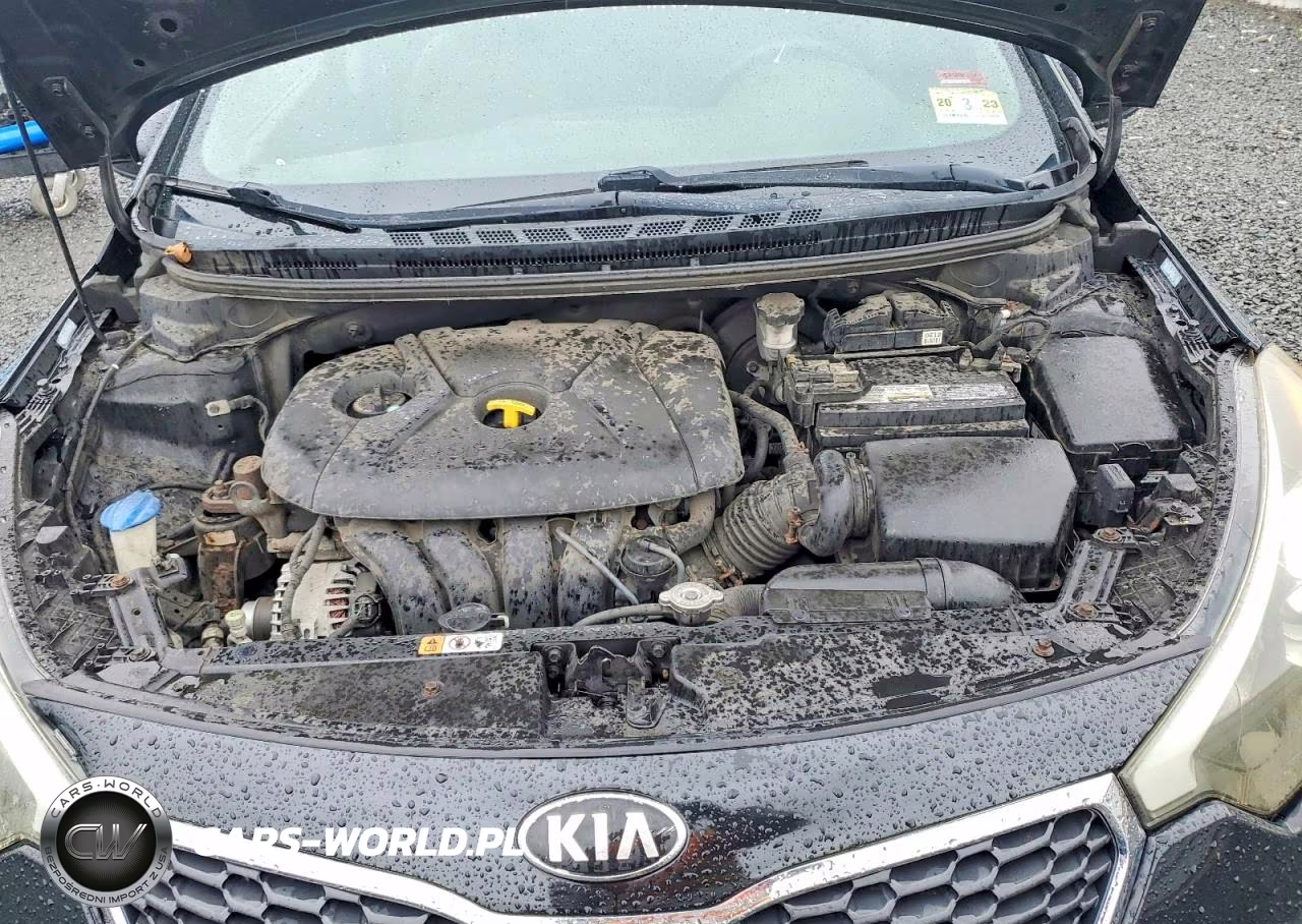 2014 Kia Forte Lx VIN:KNAFK4A65E5138588 - 11