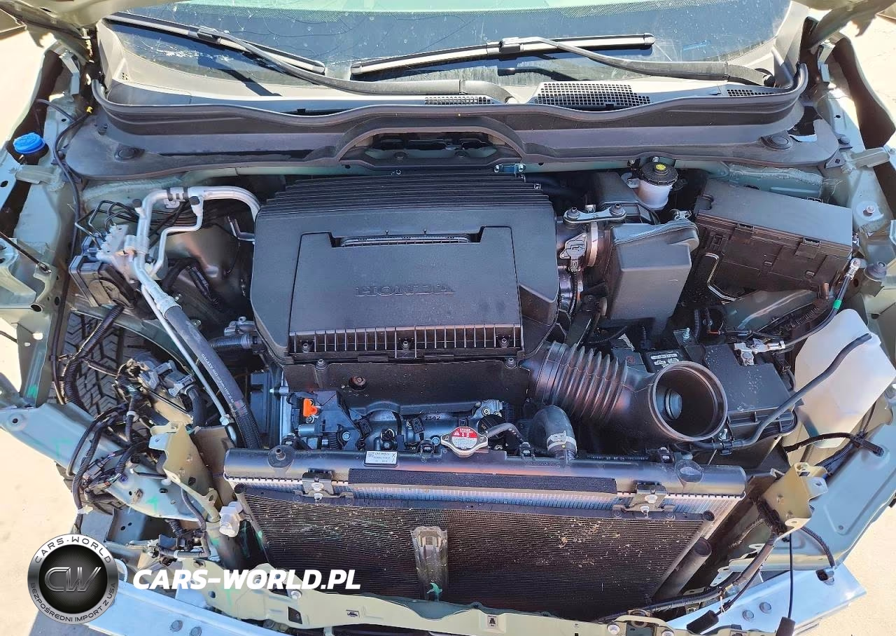 2026 Honda Pilot Trailsport VIN:5FNYG1H64TB019346 - 12