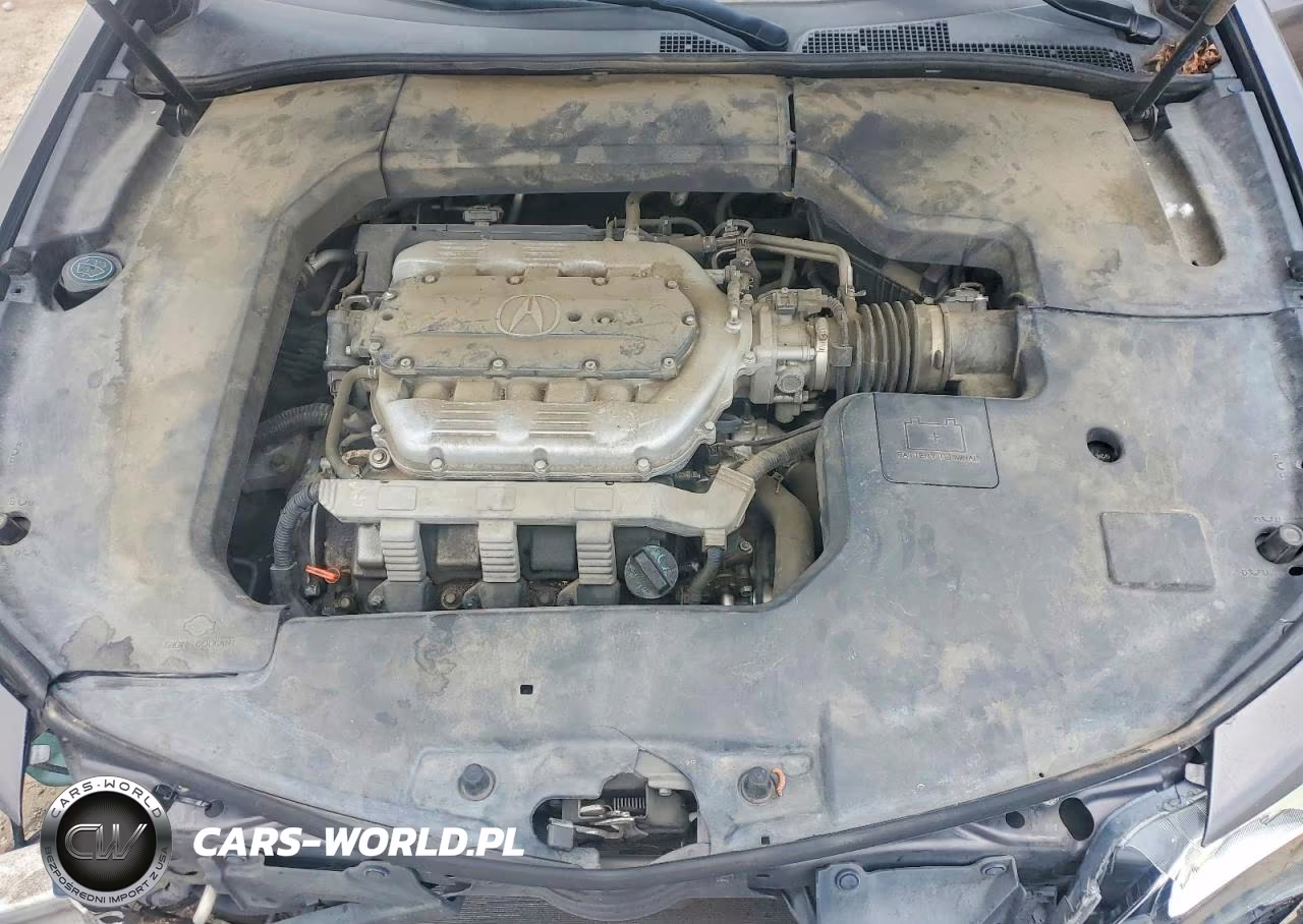 2009 Acura Tl VIN:19UUA865X9A014240 - 11