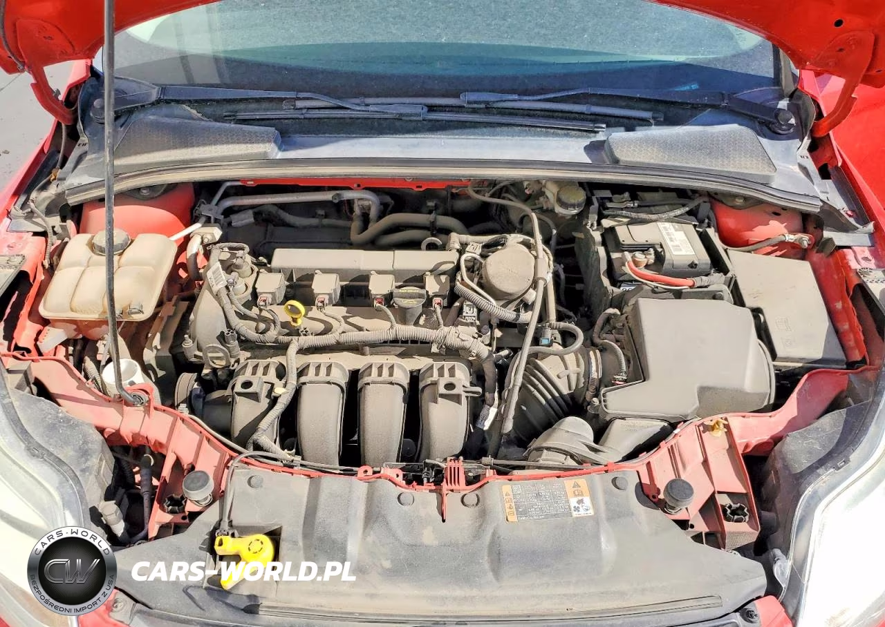 2014 Ford Focus Se VIN:1FADP3K20EL312473 - 11