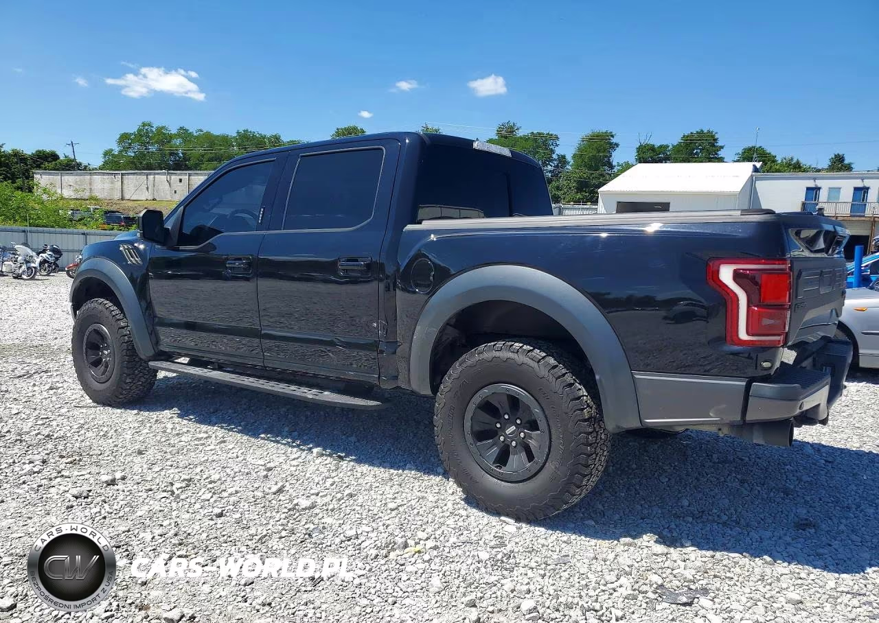 2019 Ford F150 Raptor VIN:1FTFW1RG8KFB79094 - 2