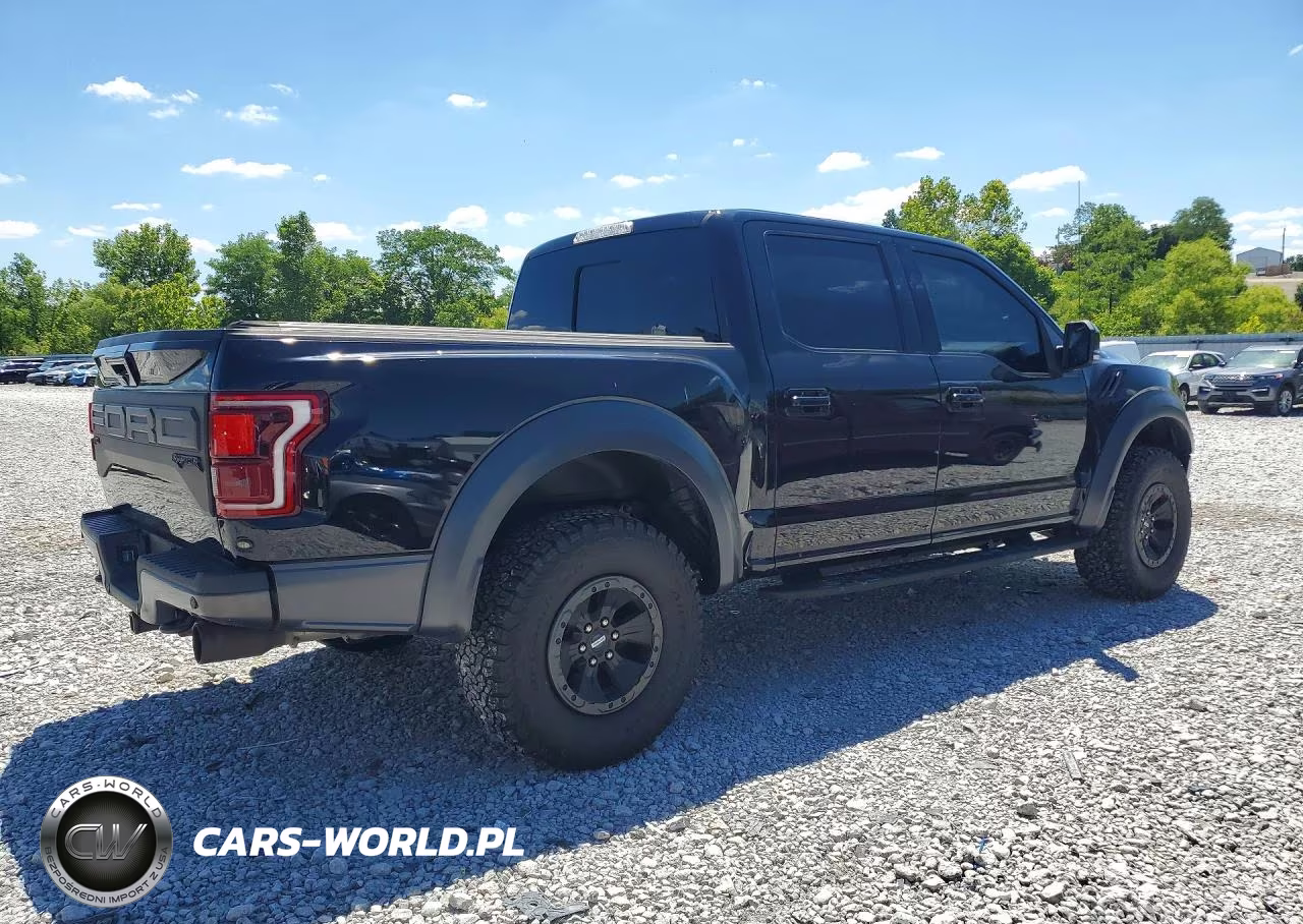 2019 Ford F150 Raptor VIN:1FTFW1RG8KFB79094 - 3