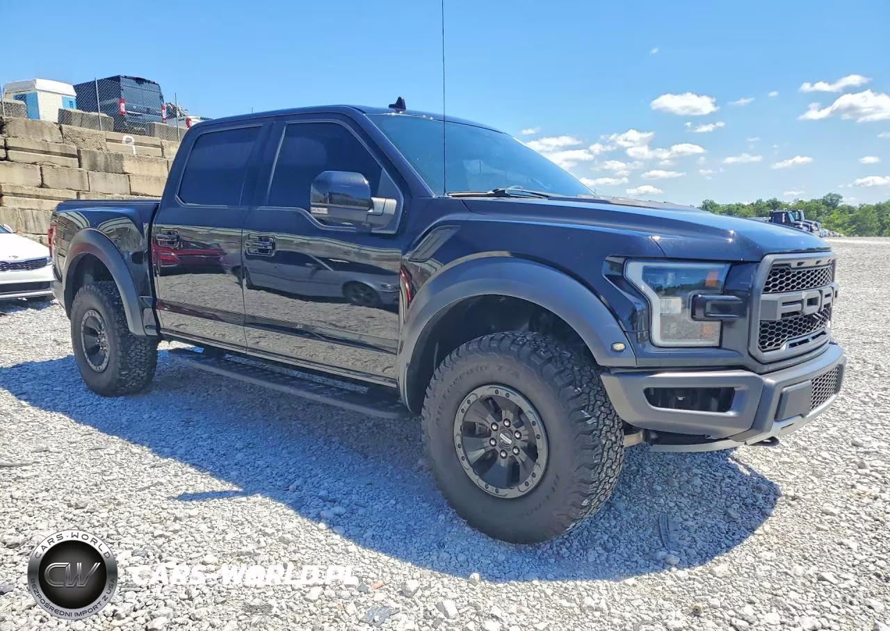 2019 Ford F150 Raptor VIN:1FTFW1RG8KFB79094 - 4