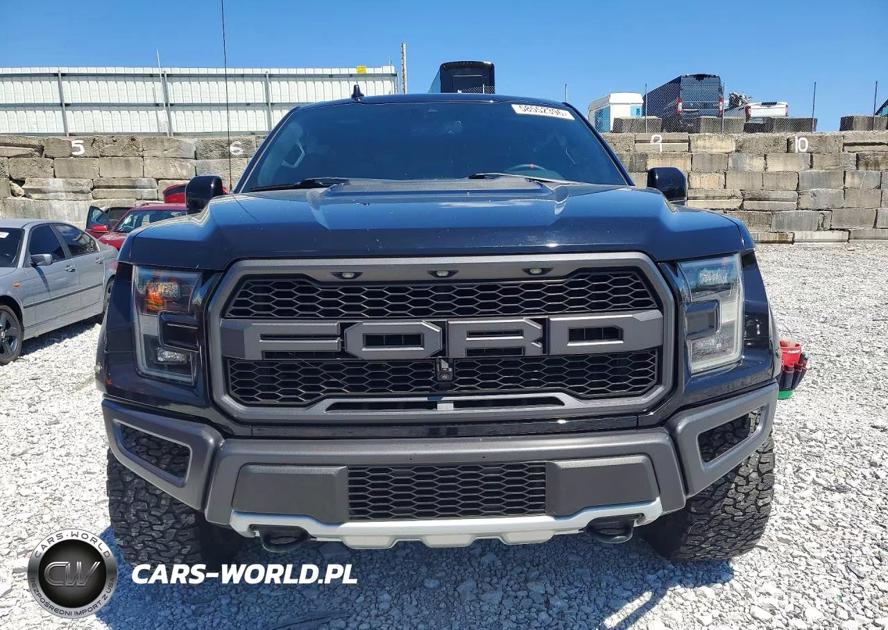 2019 Ford F150 Raptor VIN:1FTFW1RG8KFB79094 - 5