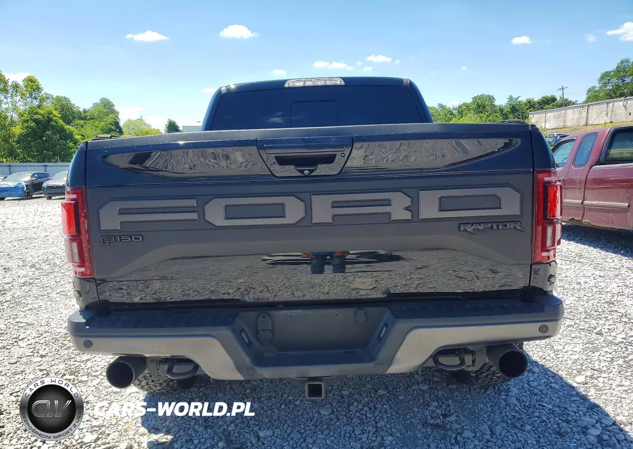 2019 Ford F150 Raptor VIN:1FTFW1RG8KFB79094 - 6
