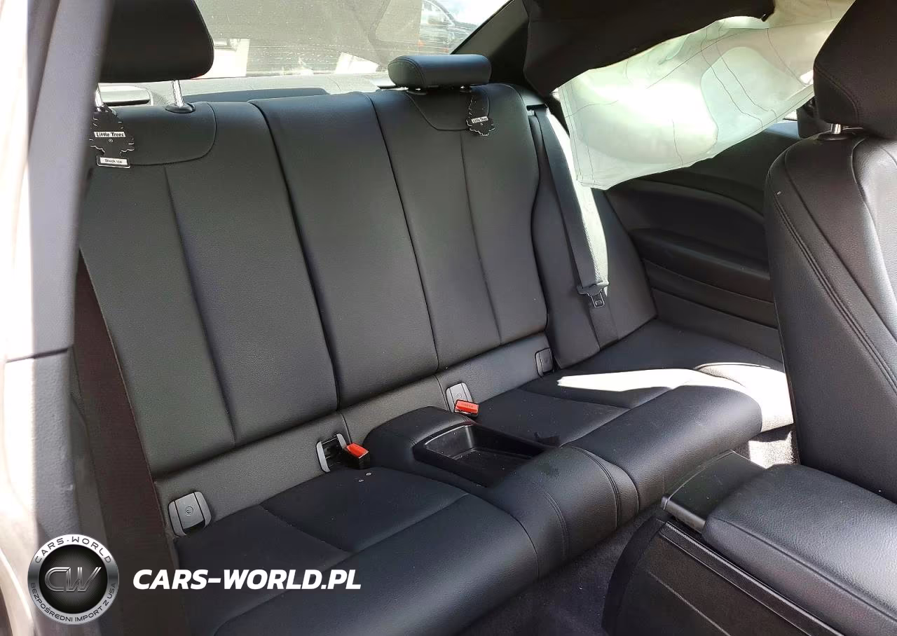 2015 BMW 228 Xi VIN:WBA1F7C58FV367160 - 10