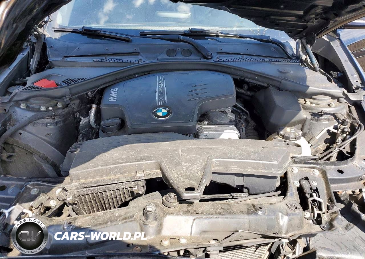 2015 BMW 228 Xi VIN:WBA1F7C58FV367160 - 11