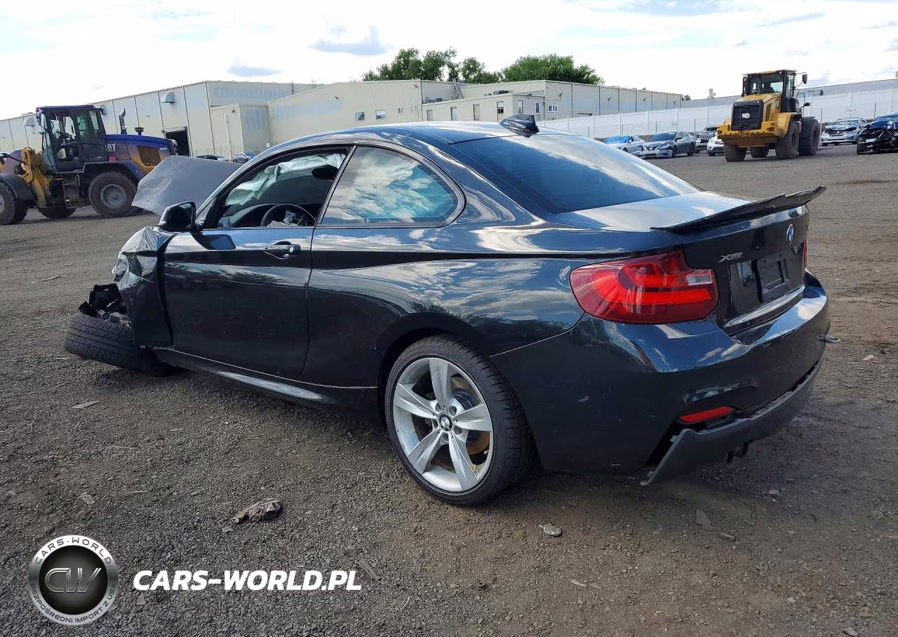 2015 BMW 228 Xi VIN:WBA1F7C58FV367160 - 2