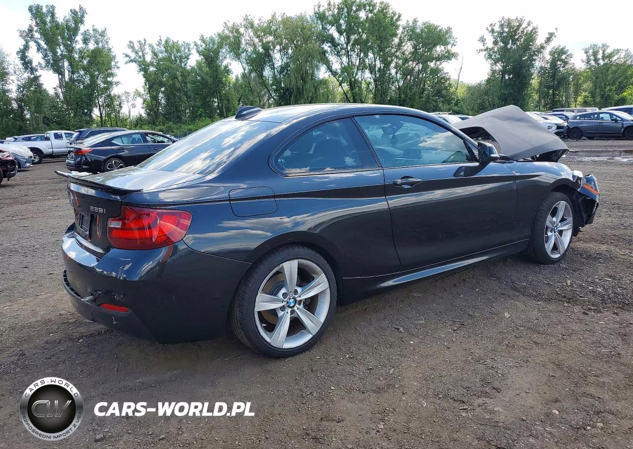 2015 BMW 228 Xi VIN:WBA1F7C58FV367160 - 3