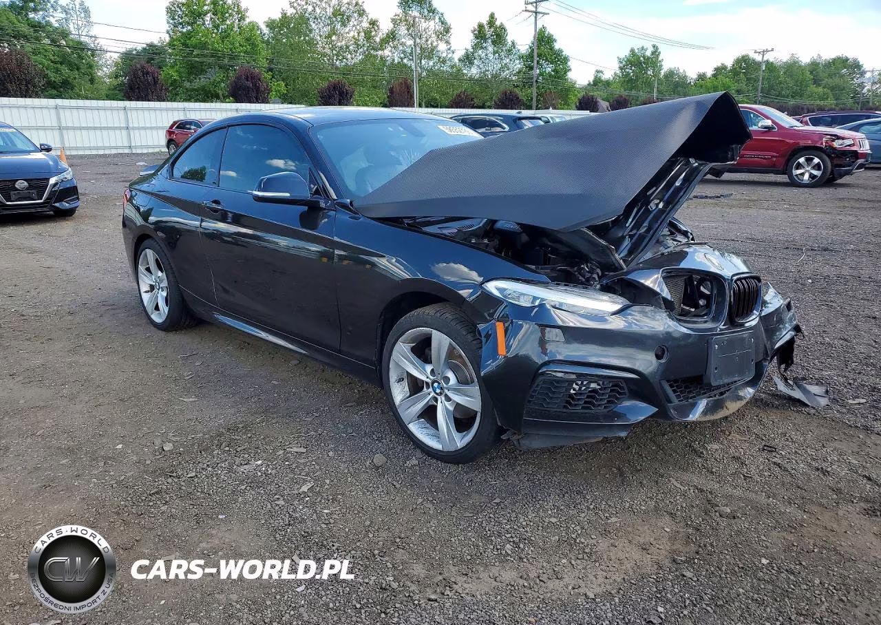 2015 BMW 228 Xi VIN:WBA1F7C58FV367160 - 4