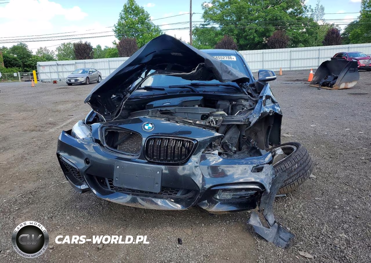 2015 BMW 228 Xi VIN:WBA1F7C58FV367160 - 5
