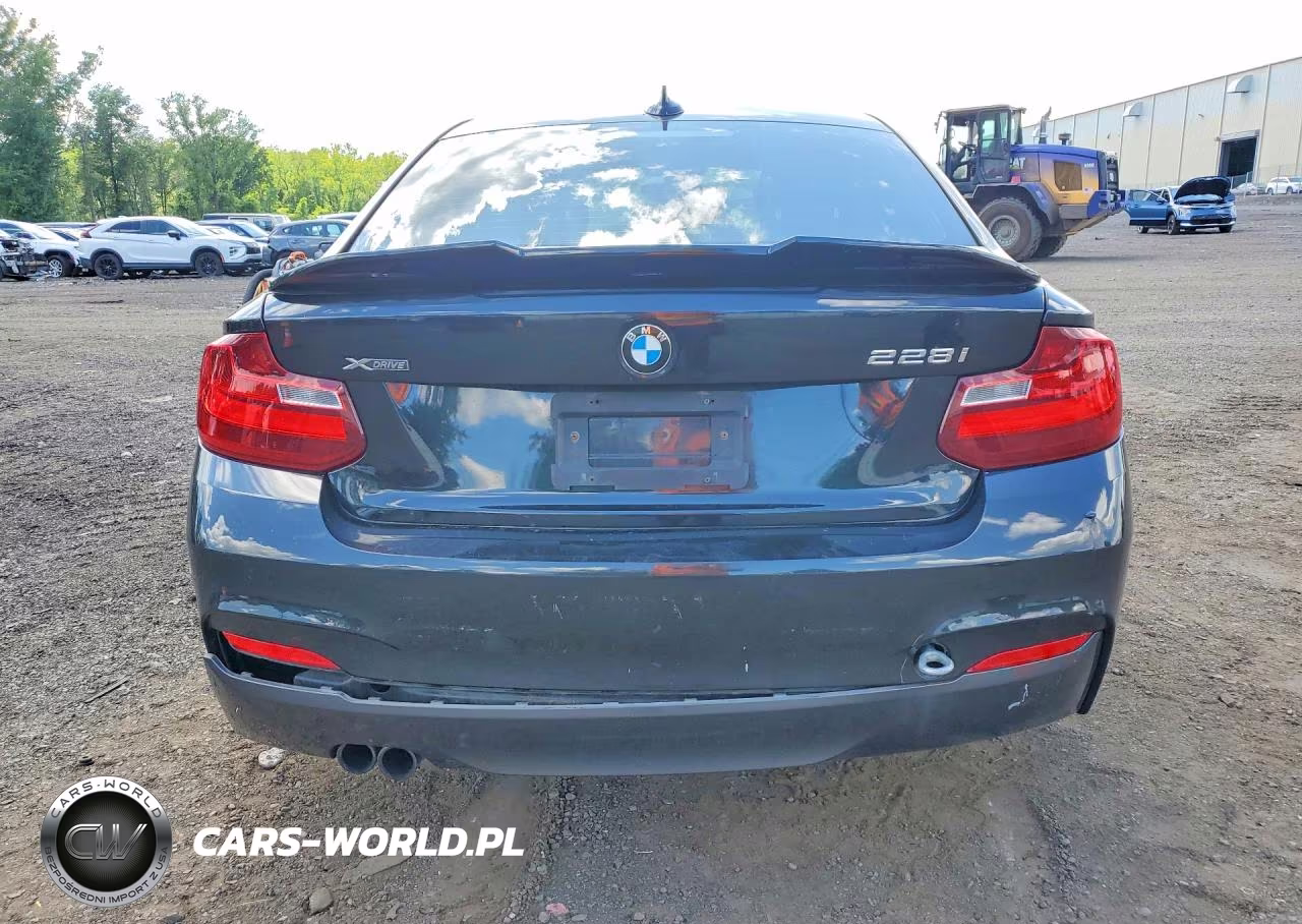 2015 BMW 228 Xi VIN:WBA1F7C58FV367160 - 6