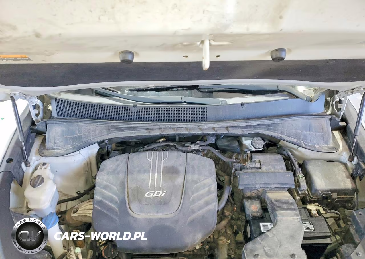 2016 Kia Sorento Lx VIN:5XYPGDA55GG109022 - 12