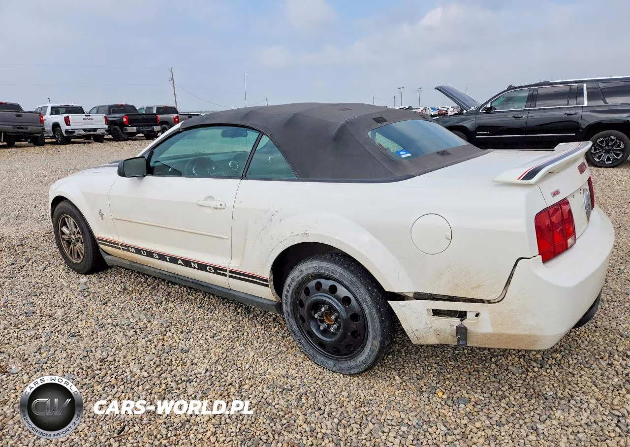 2006 Ford Mustang VIN:1ZVFT84N865254506 - 2